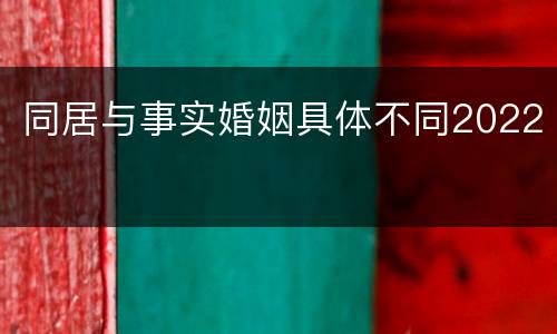 同居与事实婚姻具体不同2022
