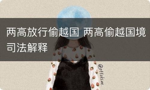 两高放行偷越国 两高偷越国境司法解释