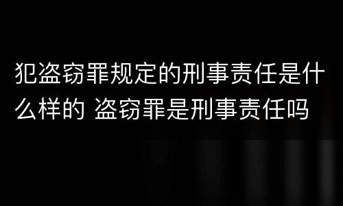 犯盗窃罪规定的刑事责任是什么样的 盗窃罪是刑事责任吗