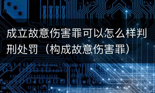 成立故意伤害罪可以怎么样判刑处罚（构成故意伤害罪）