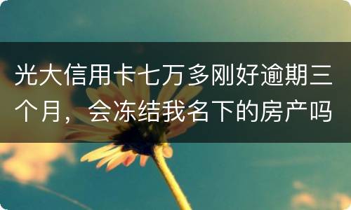 光大信用卡七万多刚好逾期三个月，会冻结我名下的房产吗