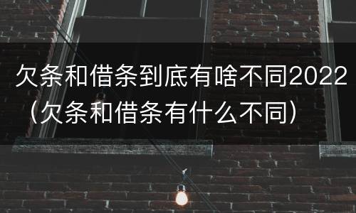 欠条和借条到底有啥不同2022（欠条和借条有什么不同）