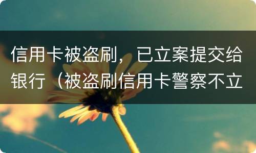 信用卡被盗刷，已立案提交给银行（被盗刷信用卡警察不立案）