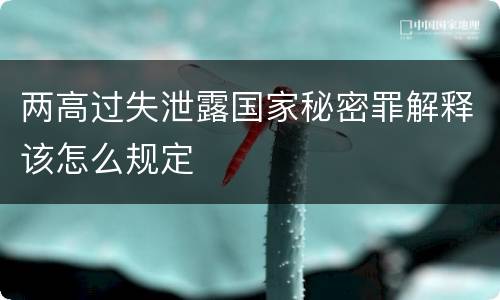 两高过失泄露国家秘密罪解释该怎么规定