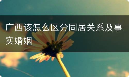 广西该怎么区分同居关系及事实婚姻