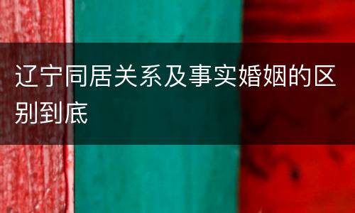 辽宁同居关系及事实婚姻的区别到底