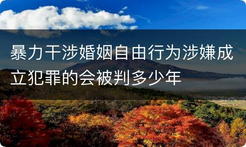 暴力干涉婚姻自由行为涉嫌成立犯罪的会被判多少年