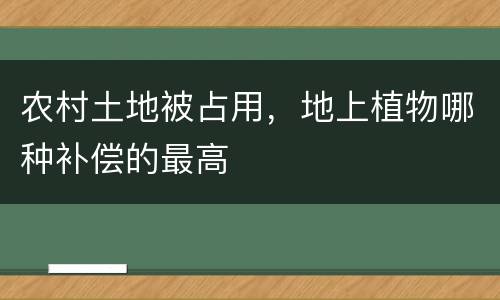 农村土地被占用，地上植物哪种补偿的最高