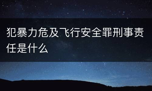 犯暴力危及飞行安全罪刑事责任是什么