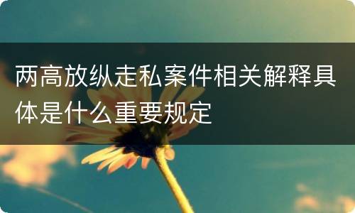 两高放纵走私案件相关解释具体是什么重要规定