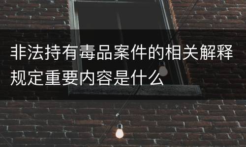 非法持有毒品案件的相关解释规定重要内容是什么