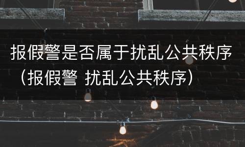 报假警是否属于扰乱公共秩序（报假警 扰乱公共秩序）