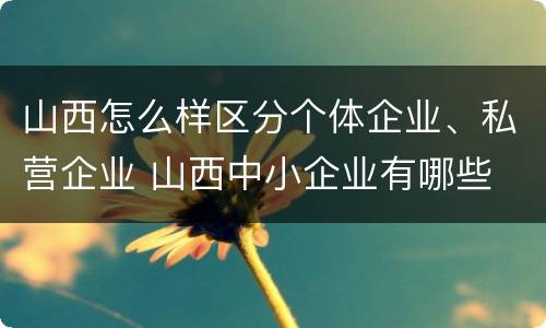 山西怎么样区分个体企业、私营企业 山西中小企业有哪些