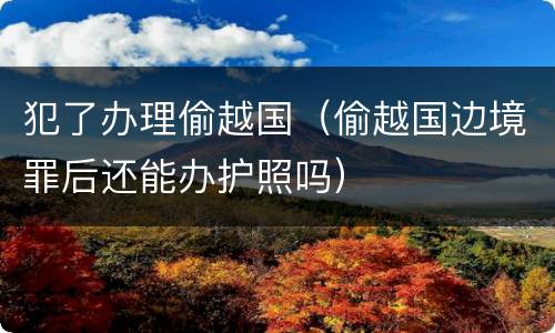 犯了办理偷越国（偷越国边境罪后还能办护照吗）