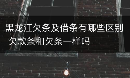 黑龙江欠条及借条有哪些区别 欠款条和欠条一样吗