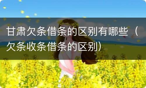 甘肃欠条借条的区别有哪些（欠条收条借条的区别）