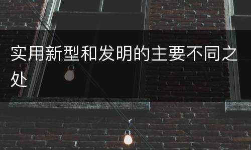 实用新型和发明的主要不同之处