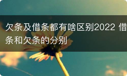 欠条及借条都有啥区别2022 借条和欠条的分别