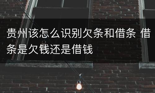 贵州该怎么识别欠条和借条 借条是欠钱还是借钱