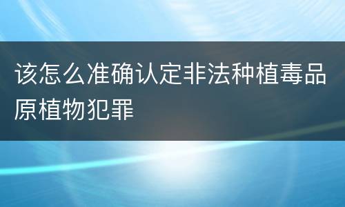 该怎么准确认定非法种植毒品原植物犯罪