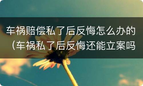 车祸赔偿私了后反悔怎么办的（车祸私了后反悔还能立案吗）