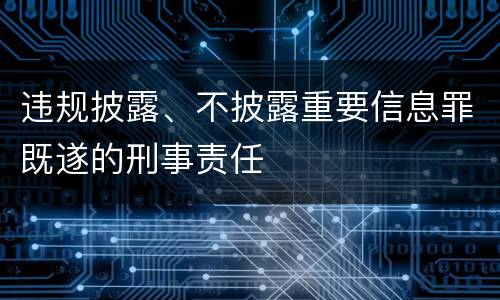 违规披露、不披露重要信息罪既遂的刑事责任