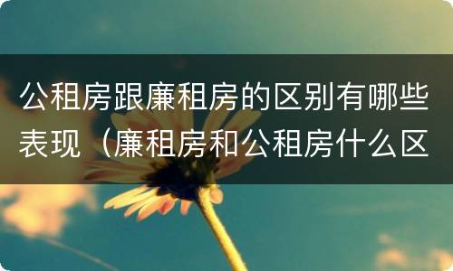 公租房跟廉租房的区别有哪些表现（廉租房和公租房什么区别）