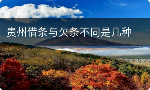 贵州借条与欠条不同是几种