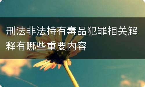 刑法非法持有毒品犯罪相关解释有哪些重要内容