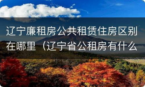 辽宁廉租房公共租赁住房区别在哪里（辽宁省公租房有什么新规定）