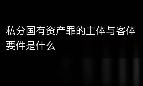 私分国有资产罪的主体与客体要件是什么