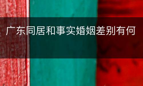 广东同居和事实婚姻差别有何