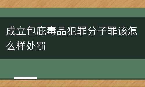 成立包庇毒品犯罪分子罪该怎么样处罚
