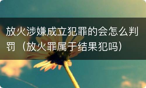 放火涉嫌成立犯罪的会怎么判罚（放火罪属于结果犯吗）