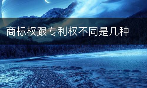 商标权跟专利权不同是几种