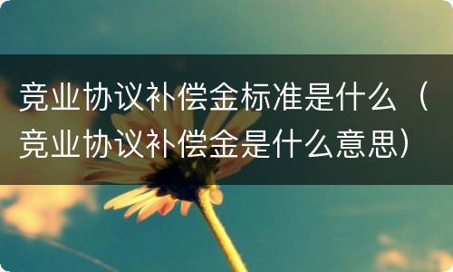竞业协议补偿金标准是什么（竞业协议补偿金是什么意思）