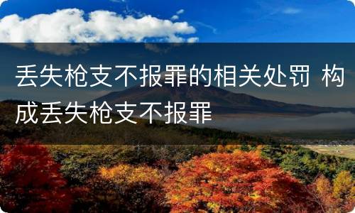 丢失枪支不报罪的相关处罚 构成丢失枪支不报罪