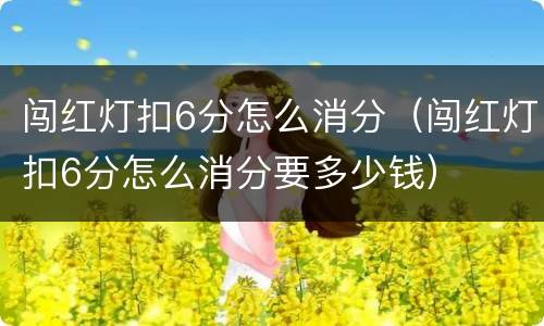 闯红灯扣6分怎么消分（闯红灯扣6分怎么消分要多少钱）
