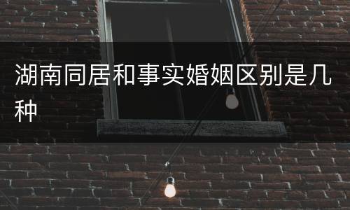 湖南同居和事实婚姻区别是几种