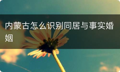 内蒙古怎么识别同居与事实婚姻