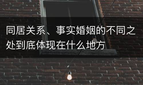 同居关系、事实婚姻的不同之处到底体现在什么地方