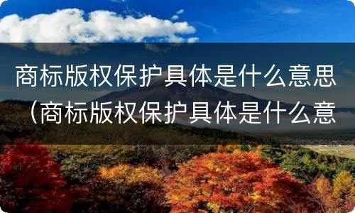 商标版权保护具体是什么意思（商标版权保护具体是什么意思呀）