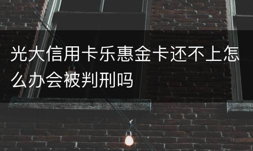 光大信用卡乐惠金卡还不上怎么办会被判刑吗