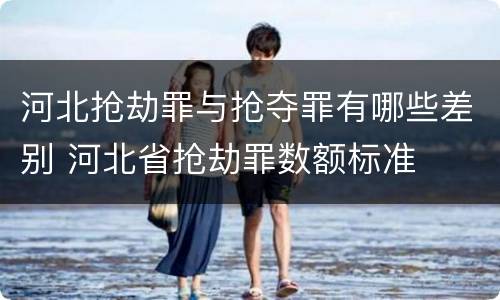 河北抢劫罪与抢夺罪有哪些差别 河北省抢劫罪数额标准