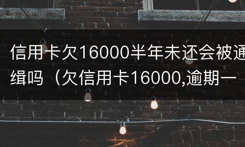 信用卡欠16000半年未还会被通缉吗（欠信用卡16000,逾期一年了会坐牢么?）