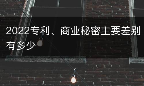 2022专利、商业秘密主要差别有多少