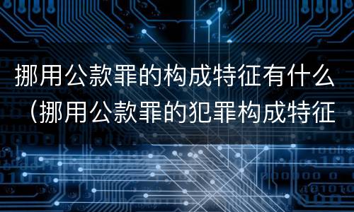 挪用公款罪的构成特征有什么（挪用公款罪的犯罪构成特征）