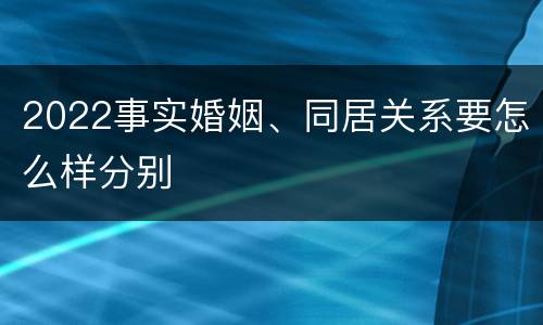 2022事实婚姻、同居关系要怎么样分别