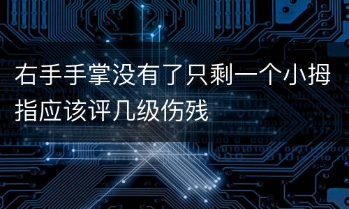 右手手掌没有了只剩一个小拇指应该评几级伤残