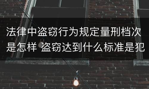 法律中盗窃行为规定量刑档次是怎样 盗窃达到什么标准是犯罪行为